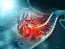 20251208_razi_Will_BS