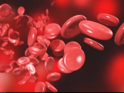 20260325_majorbleeding_BS