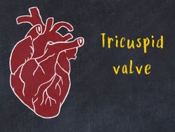 20251208_iushakovsky_BS