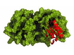 molekuul.be - PCSK9 inhibitor resized