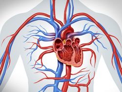 20251112_freshidea_BS