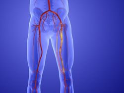 20251112_jitendra jadhav_BS