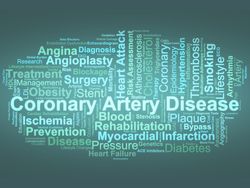 20260102_coronary_BS
