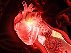 20260209_Rasi_Will_BS