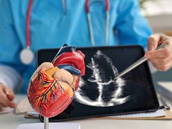 20251208_nadzeya_Will_BS