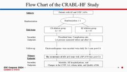 PC Slides_HL10_CRABL-HF _Kusano