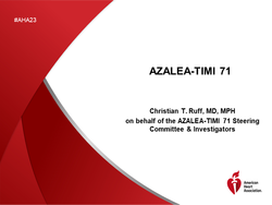AZALEA-TIMI 71 - Copy