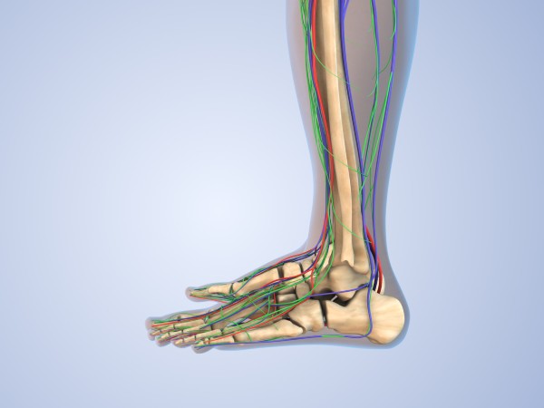 20260514_infrapop_BS