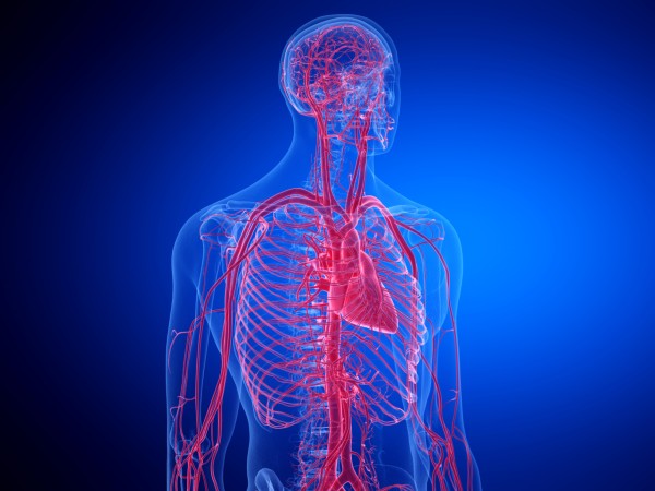 20260513_Nathan_stenosis_BS