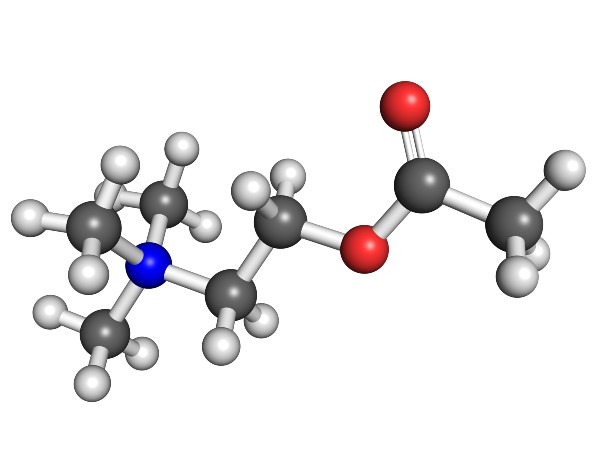 Meta-Analysis Confirms Safety of Intracoronary Acetylcholine ...