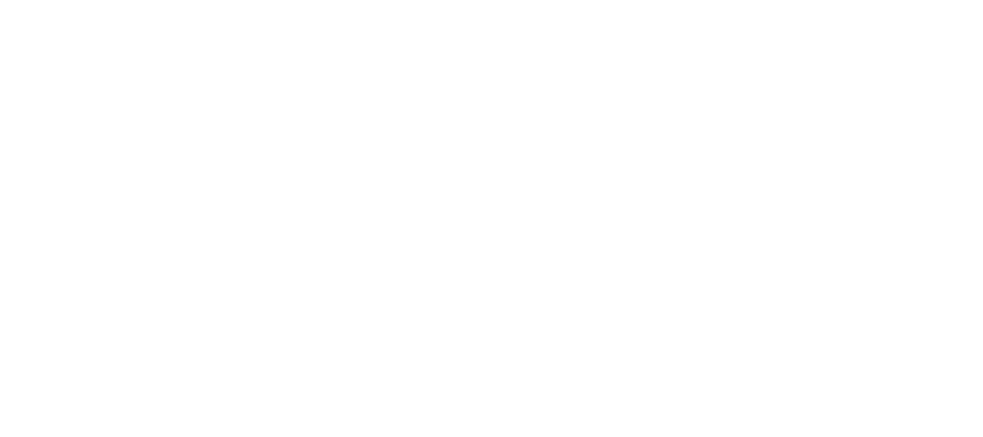 CRT2024 logo