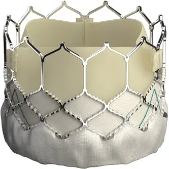 Edwards SAPIEN 3 Transcatheter Heart Valve Receives Approval In China ...